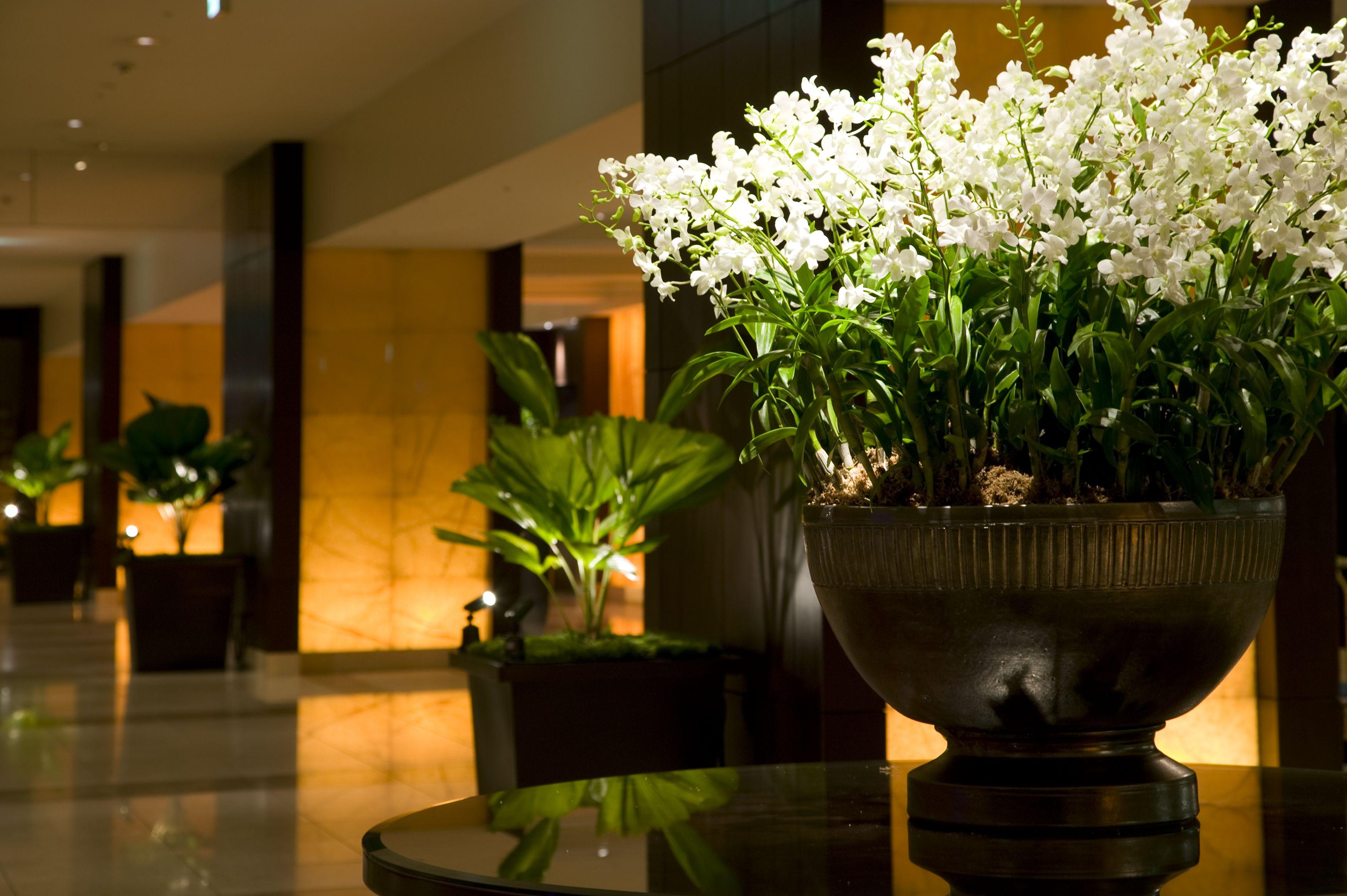 Sheraton Miyako Hotel Osaka Zewnętrze zdjęcie